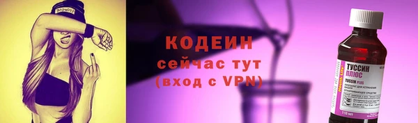 соль ск Гусев