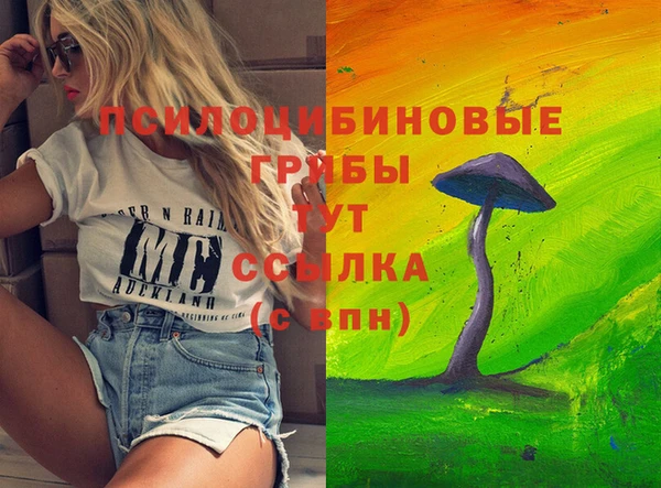 соль ск Гусев
