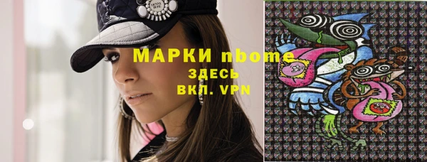 соль ск Гусев