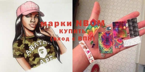 соль ск Гусев