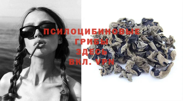 дмт Гусиноозёрск