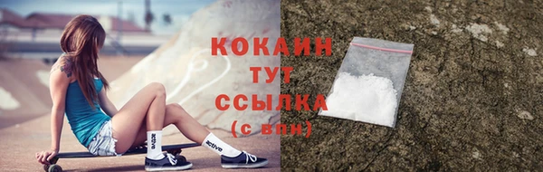 соль ск Гусев