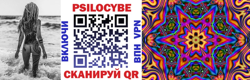 дарнет шоп  Остров  Галлюциногенные грибы Psilocybe 